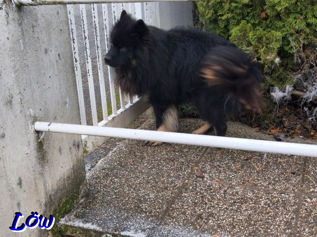 15.12.2025 - Ist drau&szlig;en mehr Schnee?